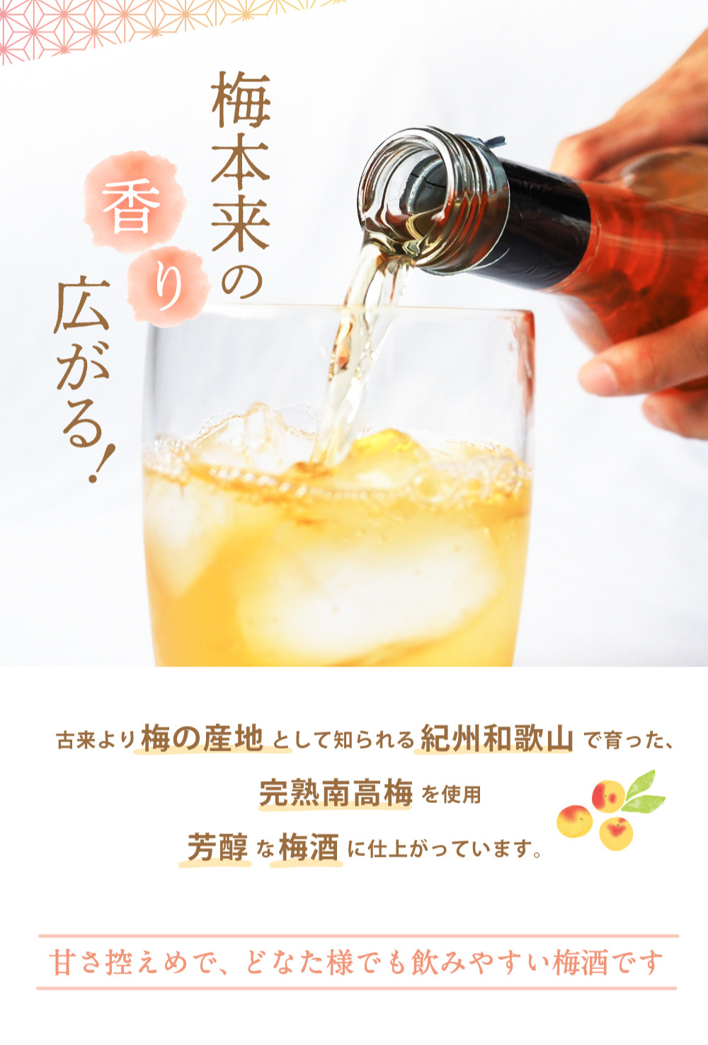 紀州梅酒 300ml｜中野BC