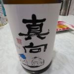 真向