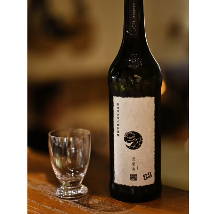 涅槃龜